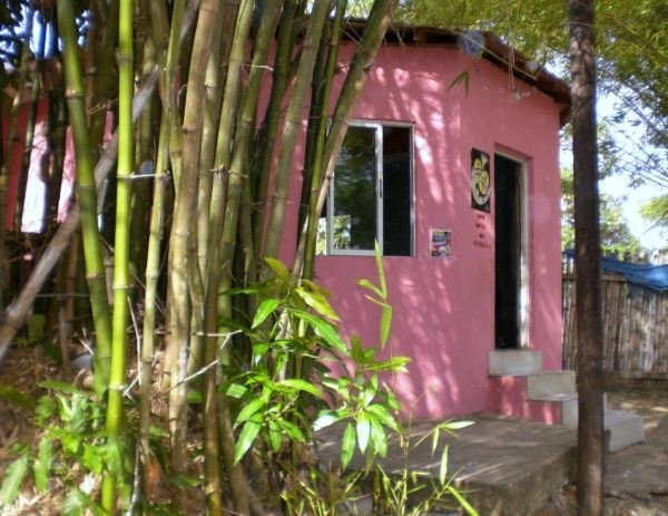 Pink roadside building behind bamboo