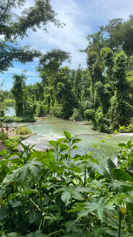 Green river pools, rocks and tropical trees