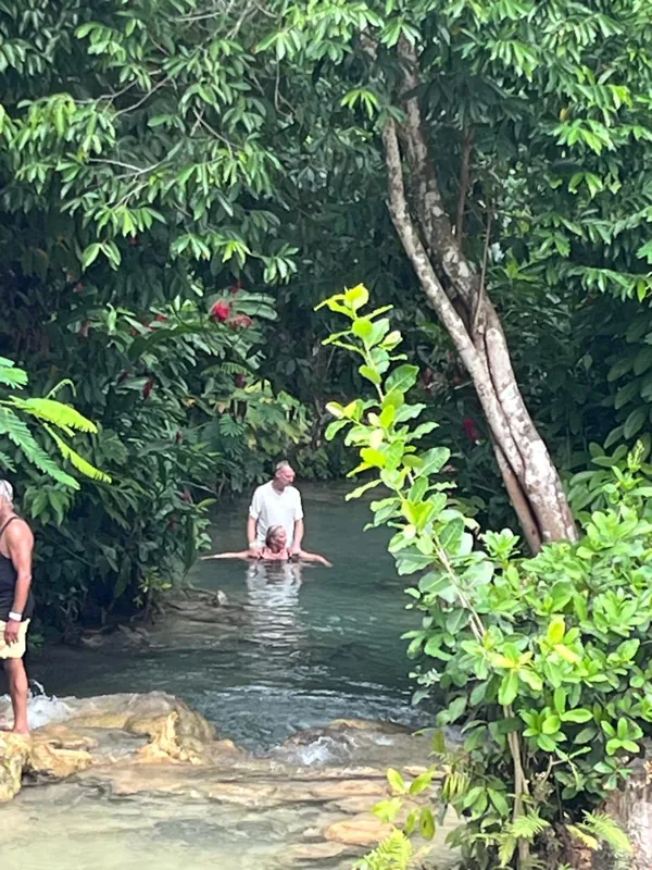 Visitors wading in a shaded river surrounded by trees