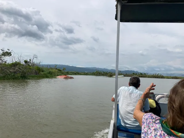Passengers looking along a broad river from a covered boat